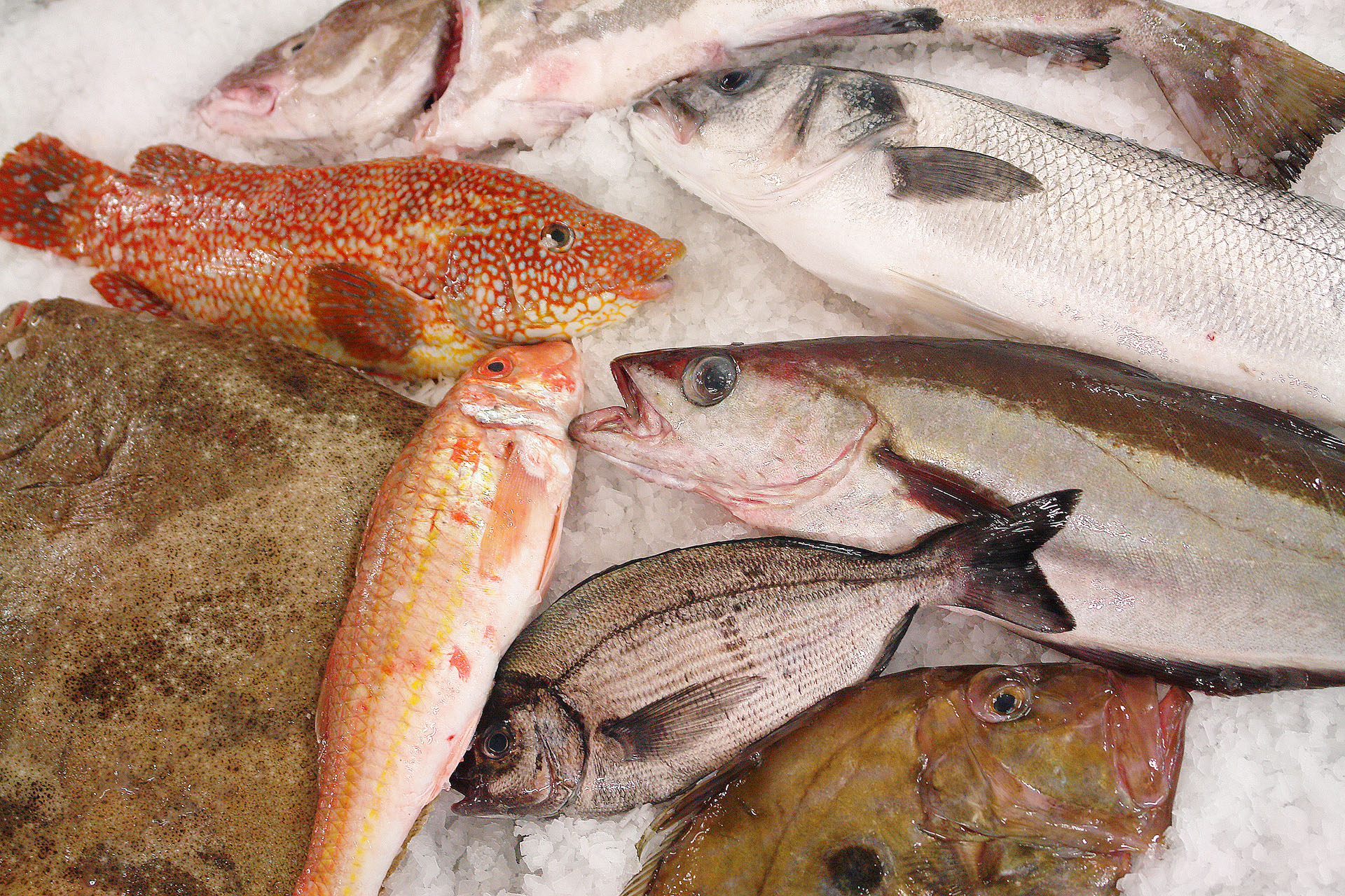 exclusivité Beganton: poisson frais