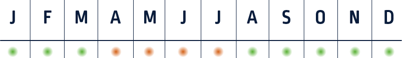Saisonnalité du Encornet